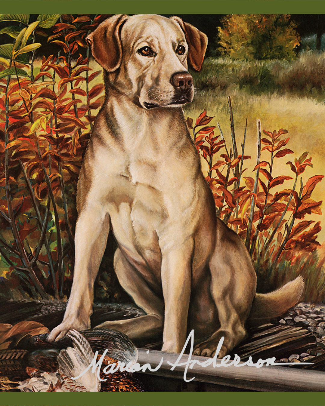 Canine