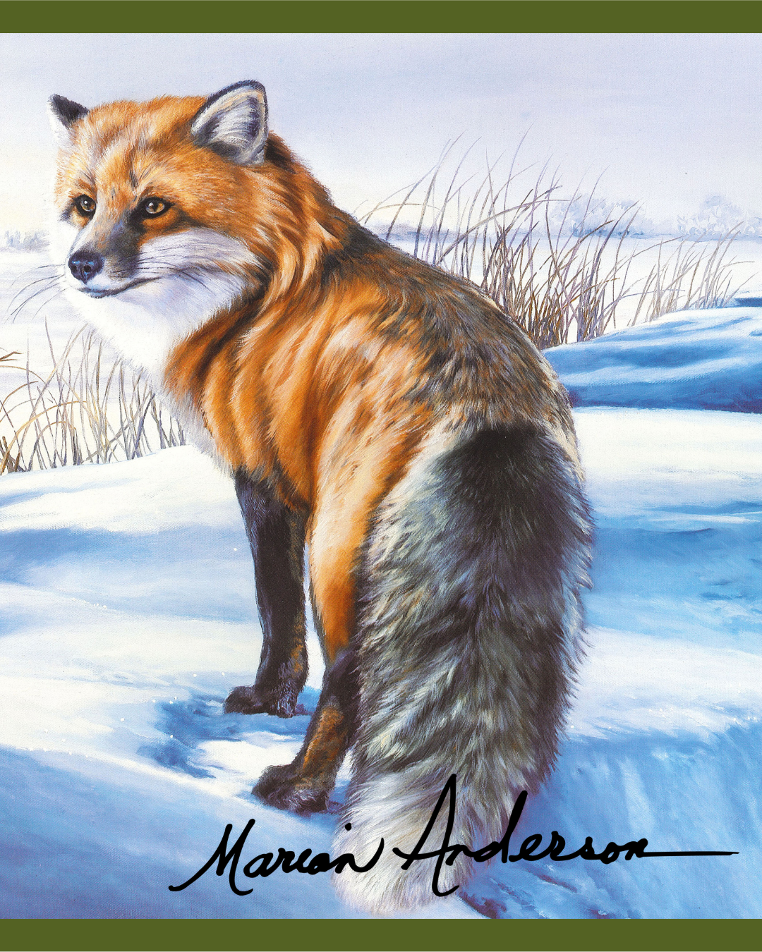 Wildlife: Fur & Hoof