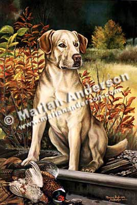 Indian Summer