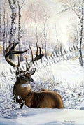 Jim Jordan’s Buck
