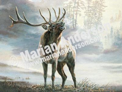 Lord of the Timber
