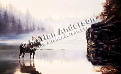 Reflections