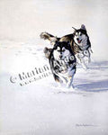 Snow Frolic