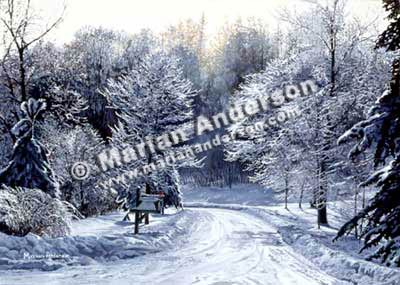 Winter Solitude